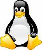Developer